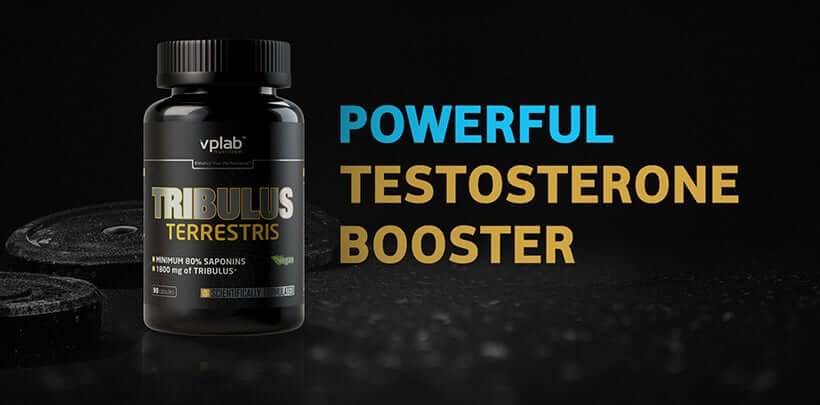 tribulus tribulus